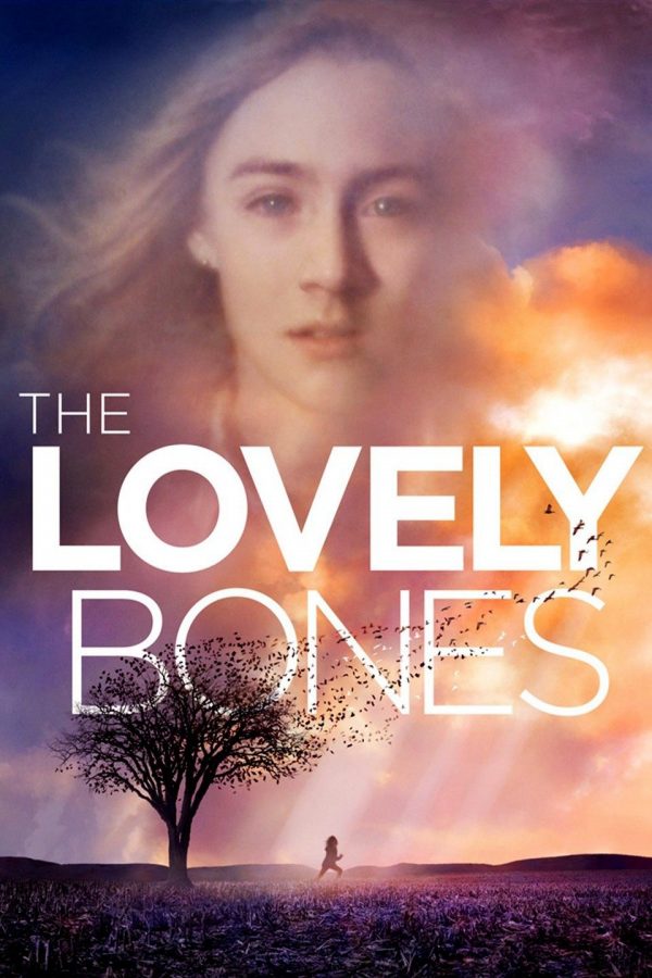 the lovely bones book summary