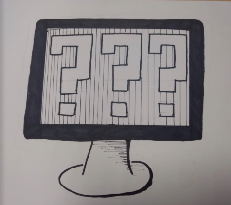 Should UNIS Students Learn More Computer Programming?