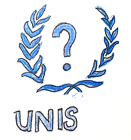 How Well Connected Are We to the UN?
