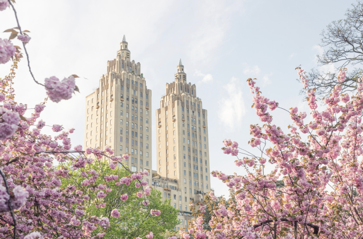 10 Engaging New York City Activities - Perfect for Springtime